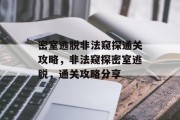 密室逃脱非法窥探通关攻略,非法窥探密室逃脱,通关攻略分享