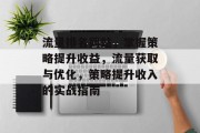 流量排名网站，掌握策略提升收益，流量获取与优化，策略提升收入的实战指南