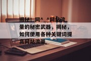 揭秘！网^_^网站流量的秘密武器，揭秘，如何使用各种关键词提高网站流量