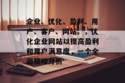 企业、优化、盈利、用户、客户、网站。,优化企业网站以提高盈利和用户满意度,一个全面策略分析 企业、优化、盈利、用户、客户、网站。,优化企业网站以提高盈利和用户满意度,一个全面策略分析