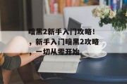 暗黑2新手入门攻略！，新手入门暗黑2攻略，一切从零开始