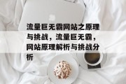 流量巨无霸网站之原理与挑战，流量巨无霸，网站原理解析与挑战分析