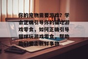 你的宠物需要游戏？学会正确引导你的猫吃游戏零食，如何正确引导猫咪玩游戏零食，帮助他们爱上新鲜事物