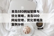 青岛SEO网站管理与优化策略，青岛SEO网站管理，优化策略及案例分析
