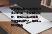 竞价网站优化的策略及实战应用，竞价网站优化，策略与实战指南，竞价网站优化，策略与实战指南