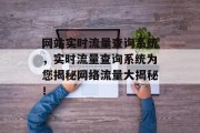 网站实时流量查询系统，实时流量查询系统为您揭秘网络流量大揭秘！