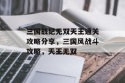 三国战纪无双天王通关攻略分享,三国风战斗攻略,天王无双 三国战纪无双天王通关攻略分享,三国风战斗攻略,天王无双