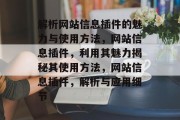 解析网站信息插件的魅力与使用方法，网站信息插件，利用其魅力揭秘其使用方法，网站信息插件，解析与应用细节