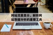 网站流量显示，解析网站数据分析的重要工具