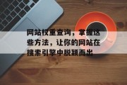 网站权重查询，掌握这些方法，让你的网站在搜索引擎中脱颖而出
