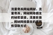 流量奇兵网站揭秘，流量奇兵，揭秘网络霸主的秘密渠道，流量巨兽，揭秘网络霸主的非线性获取方式