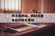 纯流量网站，揭秘流量背后的商业奥秘