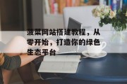 菠菜网站搭建教程，从零开始，打造你的绿色生态平台