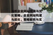 浅析企业网站搭建与优化策略，企业网站构建与优化，策略解析与实战演练