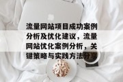 流量网站项目成功案例分析及优化建议，流量网站优化案例分析，关键策略与实践方法分享