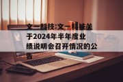 文一科技:文一科技关于2024年半年度业绩说明会召开情况的公告