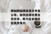 揭秘网站排名优化外包公司，如何选择优质合作伙伴，助力企业提升在线竞争力