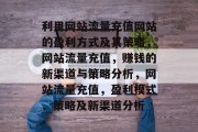 利用网站流量充值网站的盈利方式及其策略，网站流量充值，赚钱的新渠道与策略分析，网站流量充值，盈利模式、策略及新渠道分析
