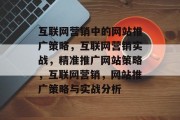 互联网营销中的网站推广策略，互联网营销实战，精准推广网站策略，互联网营销，网站推广策略与实战分析