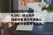 盛剑科技(603324.SH)：终止向不特定对象发行可转换公司债券并撤回申请文件