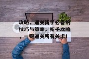 攻略，通关新手必备的技巧与策略，新手攻略，一键通关所有关卡！