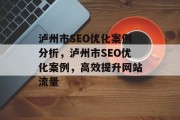 泸州市SEO优化案例分析，泸州市SEO优化案例，高效提升网站流量