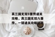 真三国无双8晋传通关攻略，真三国无双八晋传，一键通关攻略秘籍