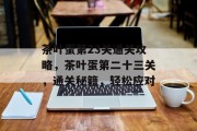 茶叶蛋第23关通关攻略，茶叶蛋第二十三关，通关秘籍，轻松应对