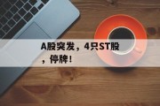 A股突发，4只ST股，停牌！