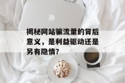 揭秘网站骗流量的背后意义，是利益驱动还是另有隐情？