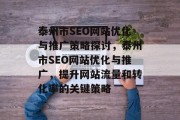 泰州市SEO网站优化与推广策略探讨，泰州市SEO网站优化与推广，提升网站流量和转化率的关键策略