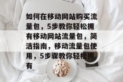 如何在移动网站购买流量包，5步教你轻松拥有移动网站流量包，简洁指南，移动流量包使用，5步骤教你轻松拥有