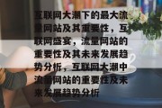 互联网大潮下的最大流量网站及其重要性，互联网盛宴，流量网站的重要性及其未来发展趋势分析，互联网大潮中流量网站的重要性及未来发展趋势分析