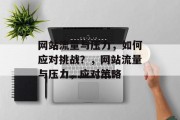 网站流量与压力，如何应对挑战？，网站流量与压力，应对策略