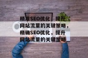 精准SEO优化，提升网站流量的关键策略，精确SEO优化，提升网站流量的关键策略