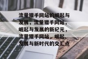 流量猎手网站的崛起与发展，流量猎手网站，崛起与发展的新纪元，流量猎手网站，崛起、发展与新时代的交汇点