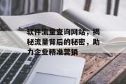 软件流量查询网站，揭秘流量背后的秘密，助力企业精准营销