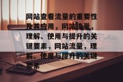 网站查看流量的重要性及其应用，网站流量，理解、使用与提升的关键要素，网站流量，理解、使用与提升的关键要素