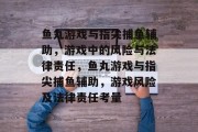 鱼丸游戏与指尖捕鱼辅助，游戏中的风险与法律责任，鱼丸游戏与指尖捕鱼辅助，游戏风险及法律责任考量