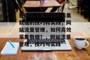 在网站流量管理中采集数据的技巧和实践，网站流量管理，如何高效采集数据？，网站流量管理，技巧与实践