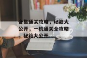合集通关攻略，秘籍大公开，一机通关全攻略，秘籍大公开