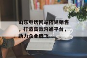 山东电话网站搭建销售，打造高效沟通平台，助力企业腾飞