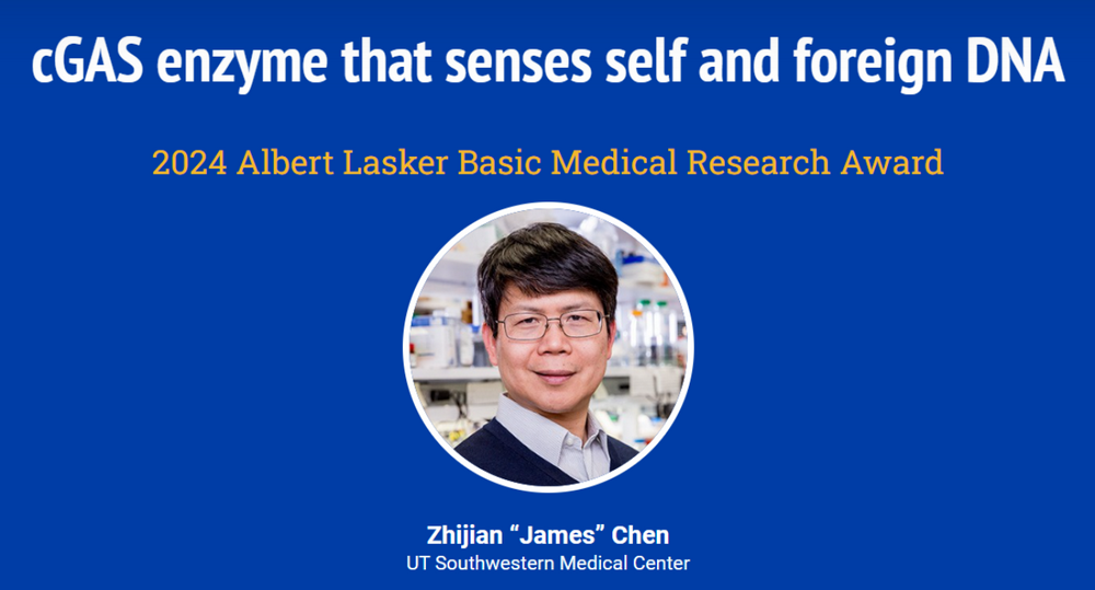 2024年诺贝尔奖即将揭晓!花落谁家?这几个“风向标”或许暗藏线索