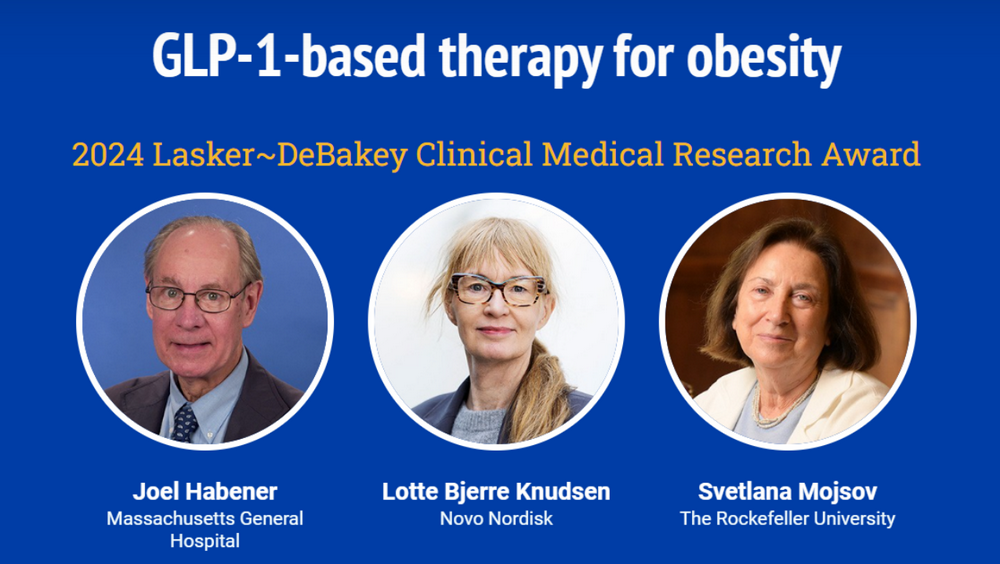 2024年诺贝尔奖即将揭晓!花落谁家?这几个“风向标”或许暗藏线索