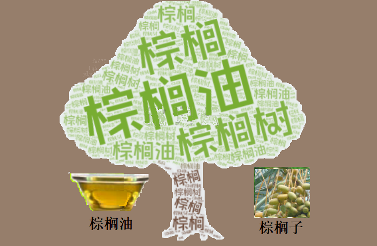 棕榈油价格连续四周飙升,背后隐藏着哪些市场秘密?