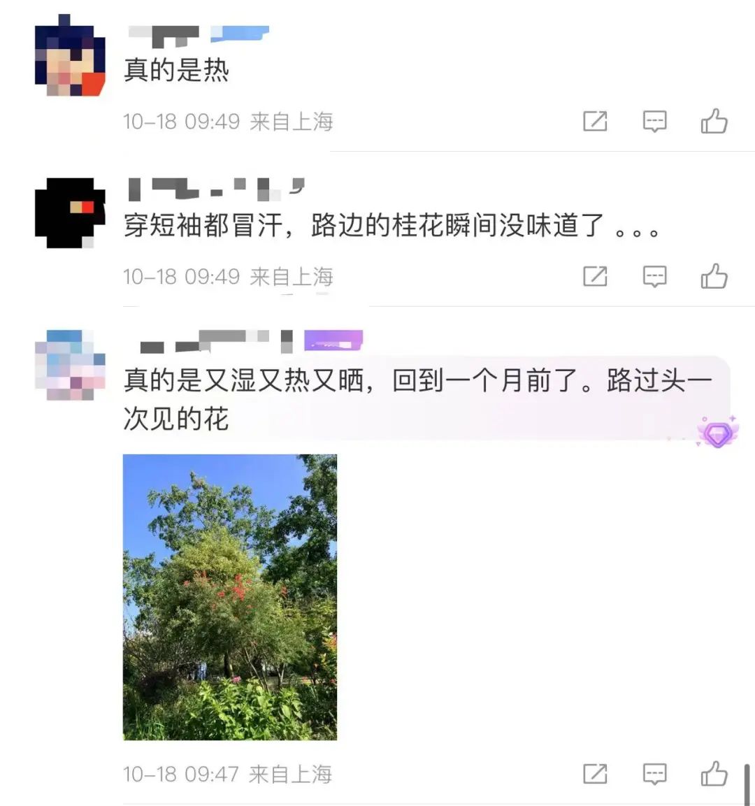 破纪录!断崖式下跌来了!上海人做好准备,这波真的猛…