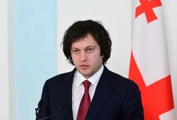 格鲁吉亚总理:总统必须辞职 不会考虑重新进行议会选举