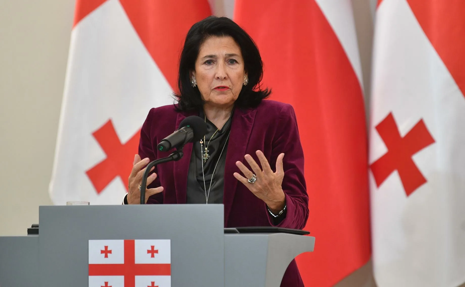 格鲁吉亚总理:总统必须辞职 不会考虑重新进行议会选举