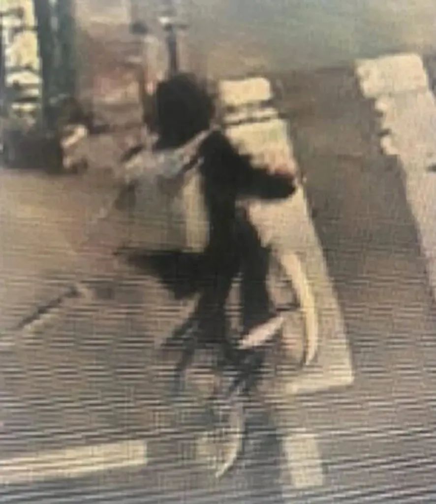 美巨头CEO街头被枪杀!枪手在弹壳上留下三个词,监控画面曝光