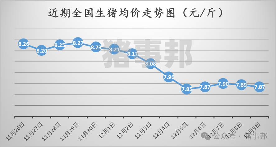 12月9日猪价汇总(北弱南强!)